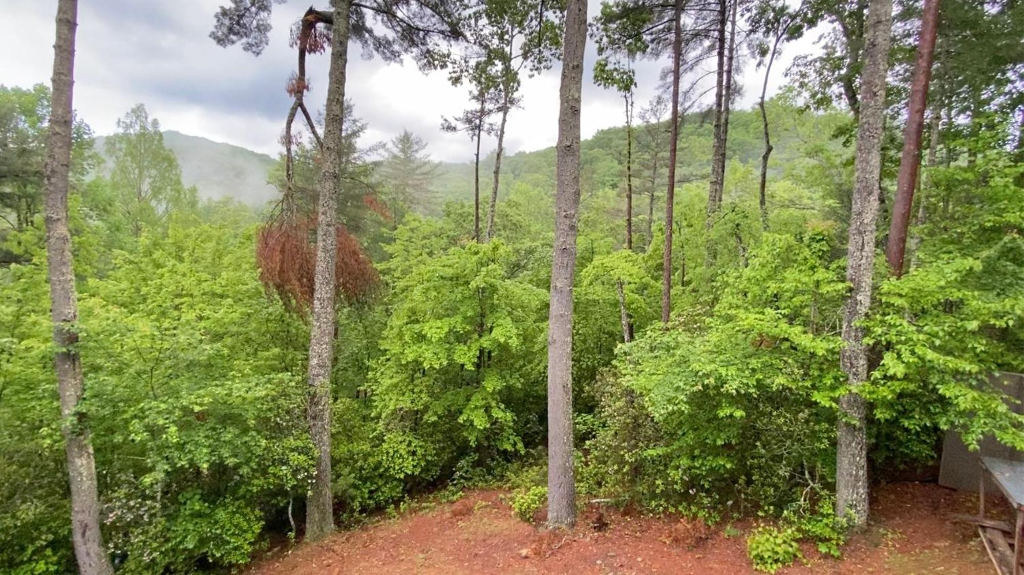The Cozy Lazy Laurel With Year-Round Mountain Views, Hot Tub, Fire Pit Villa Cherry Log Exterior foto